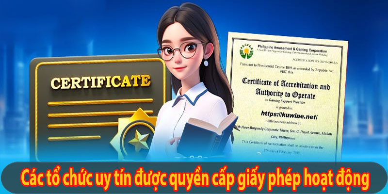 2 tổ chức uy tín được quyền cấp giấy phép hoạt động