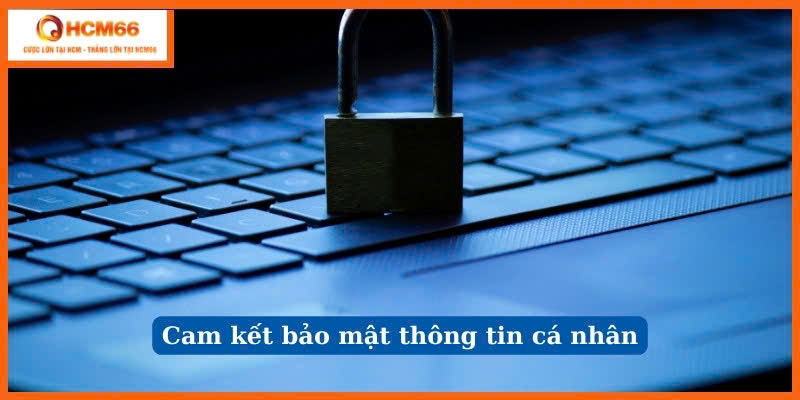 Tuân thủ chính sách bảo mật sẽ cho bạn những đặc quyền